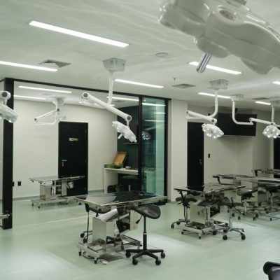 instituto_gabriela_dawson_itc_fresh_frozen_cadaver (6)